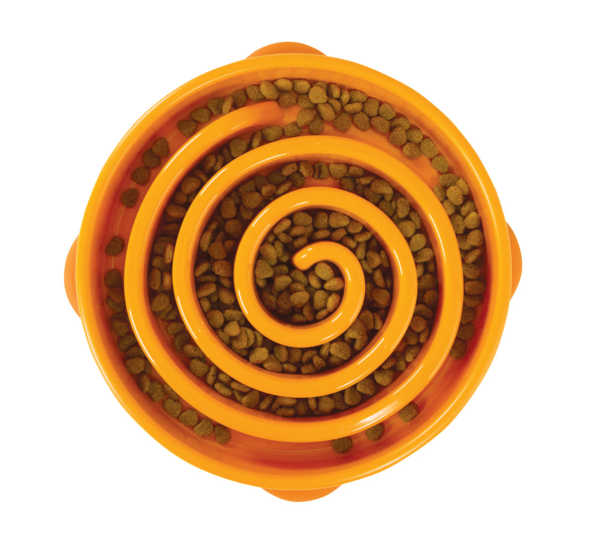 Orange dog hot sale bowl