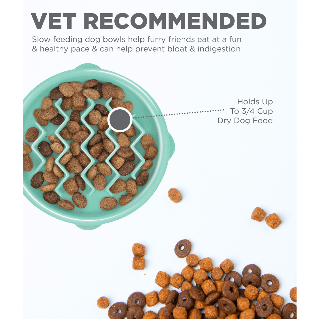 Outward hound fun feeder mini best sale