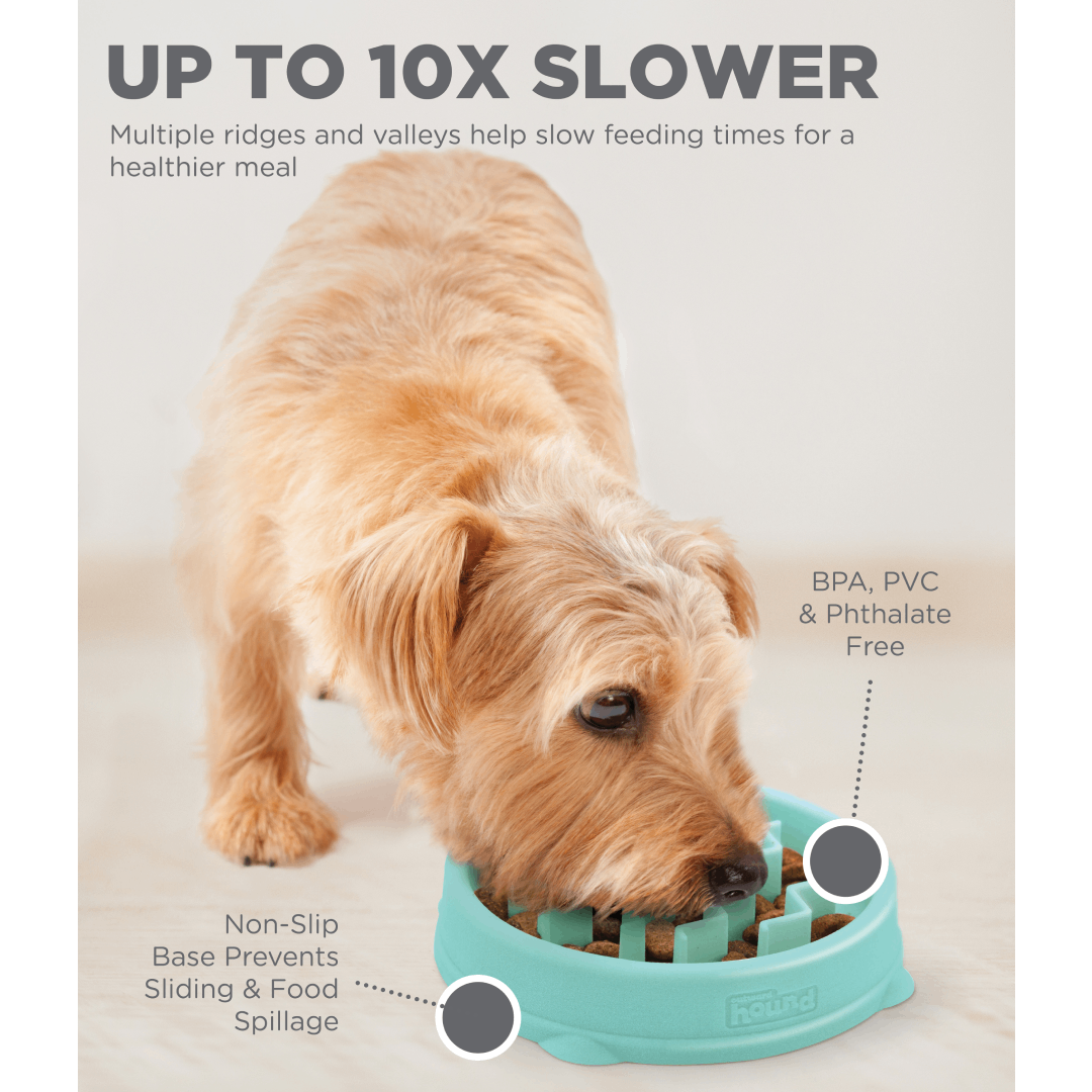 Outward hound shop slow feeder mini