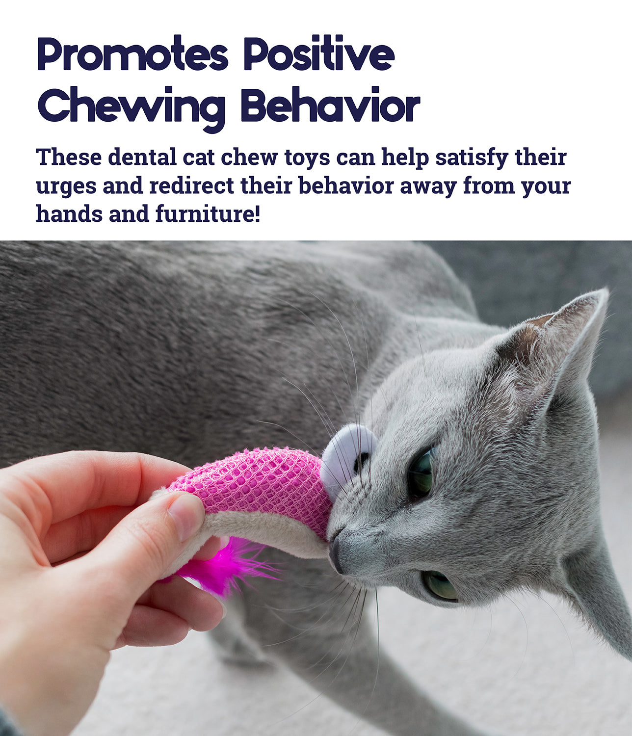 Dental chew toys for cats shop