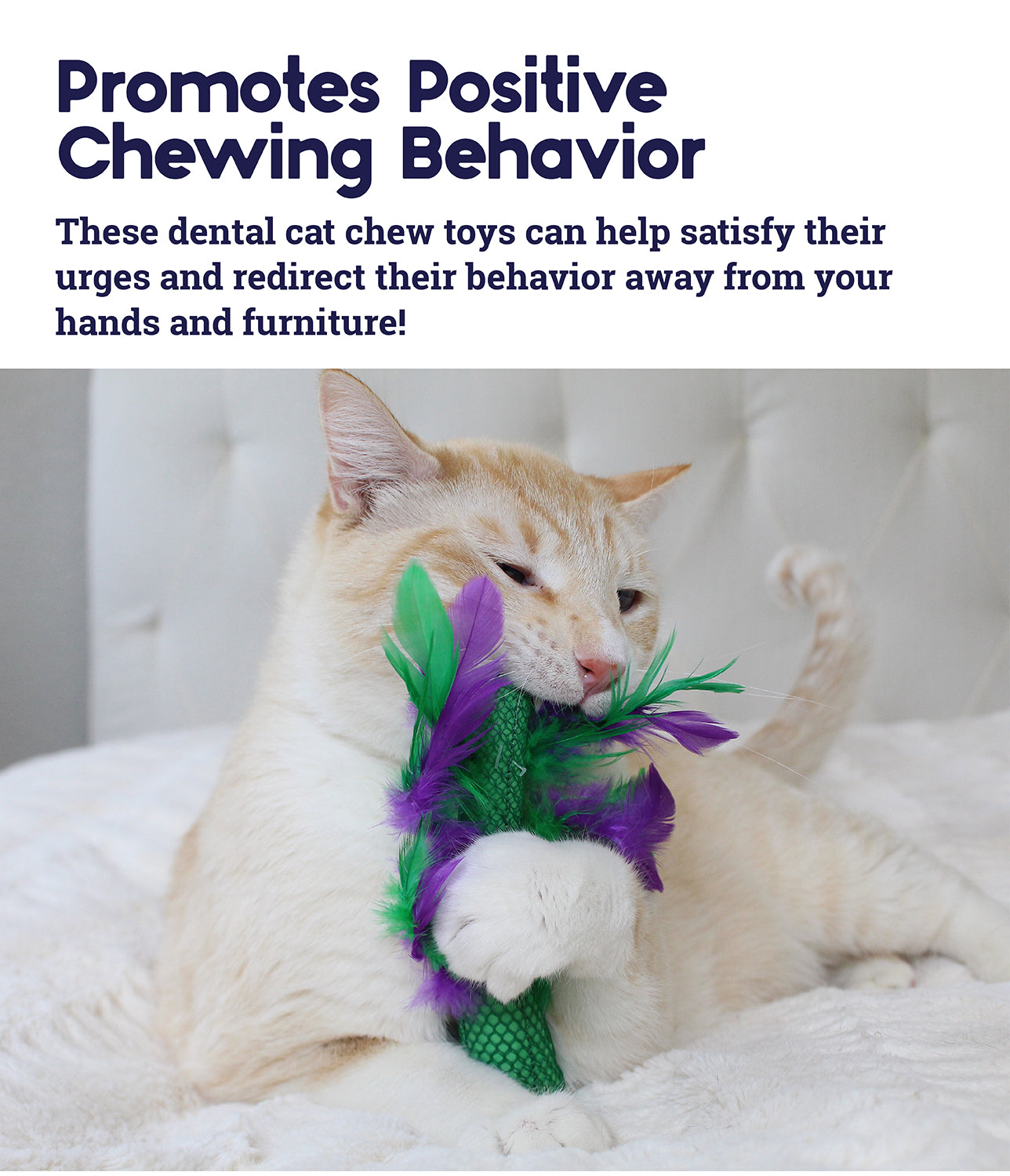 Diy cat discount chew toys